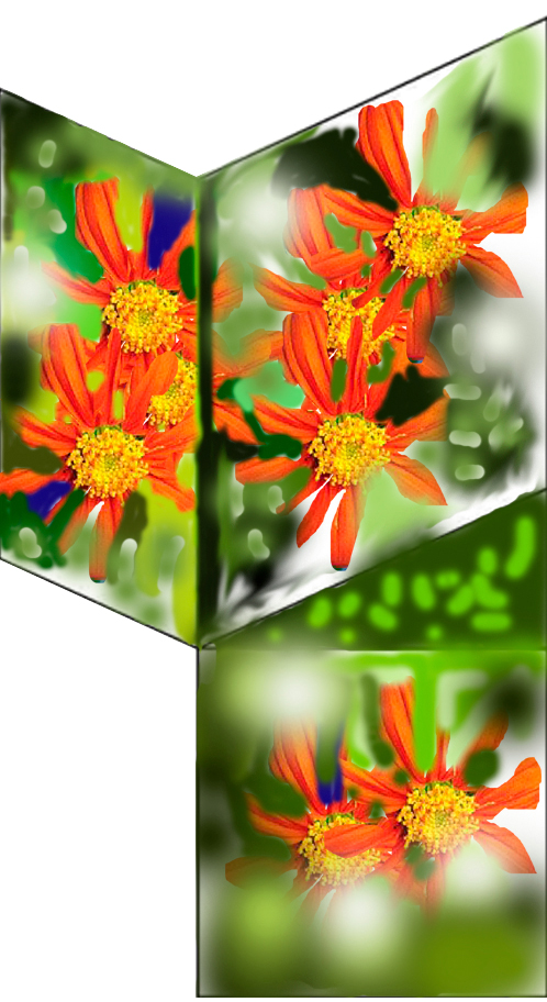 Bio_Margarida Leão_2007