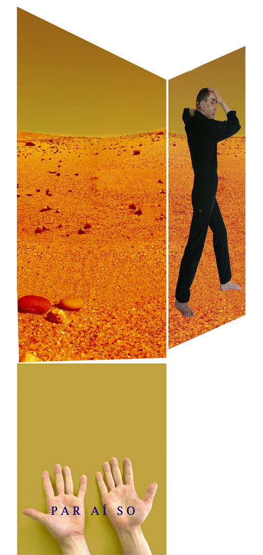 Bio_Silvestre Pestana_2010